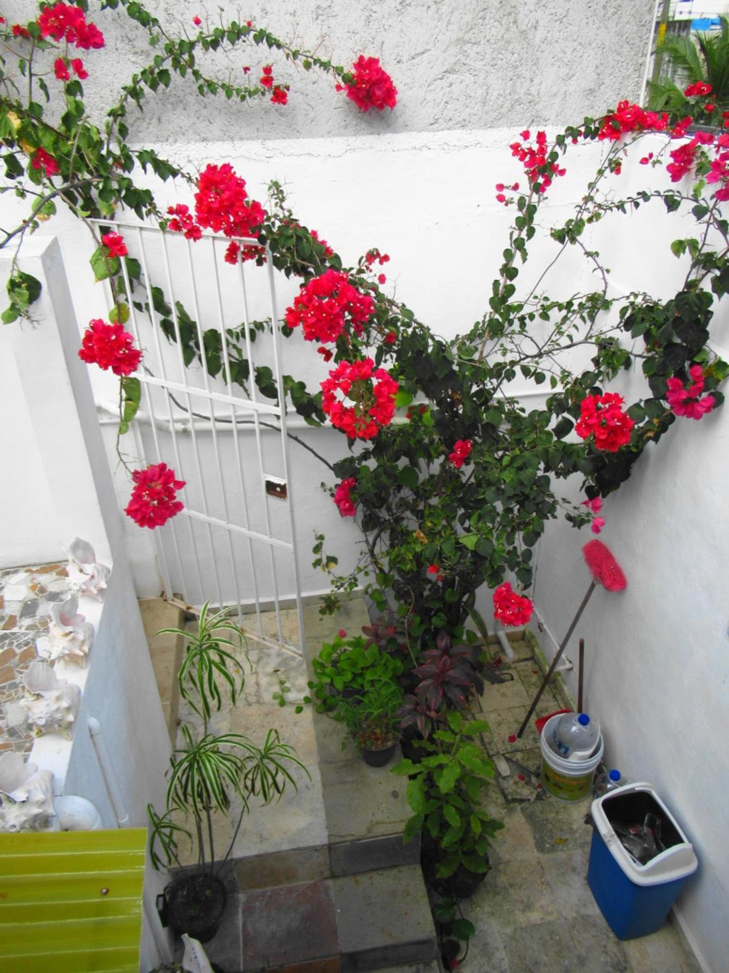 Apartament Cocos Cancún Zewnętrze zdjęcie
