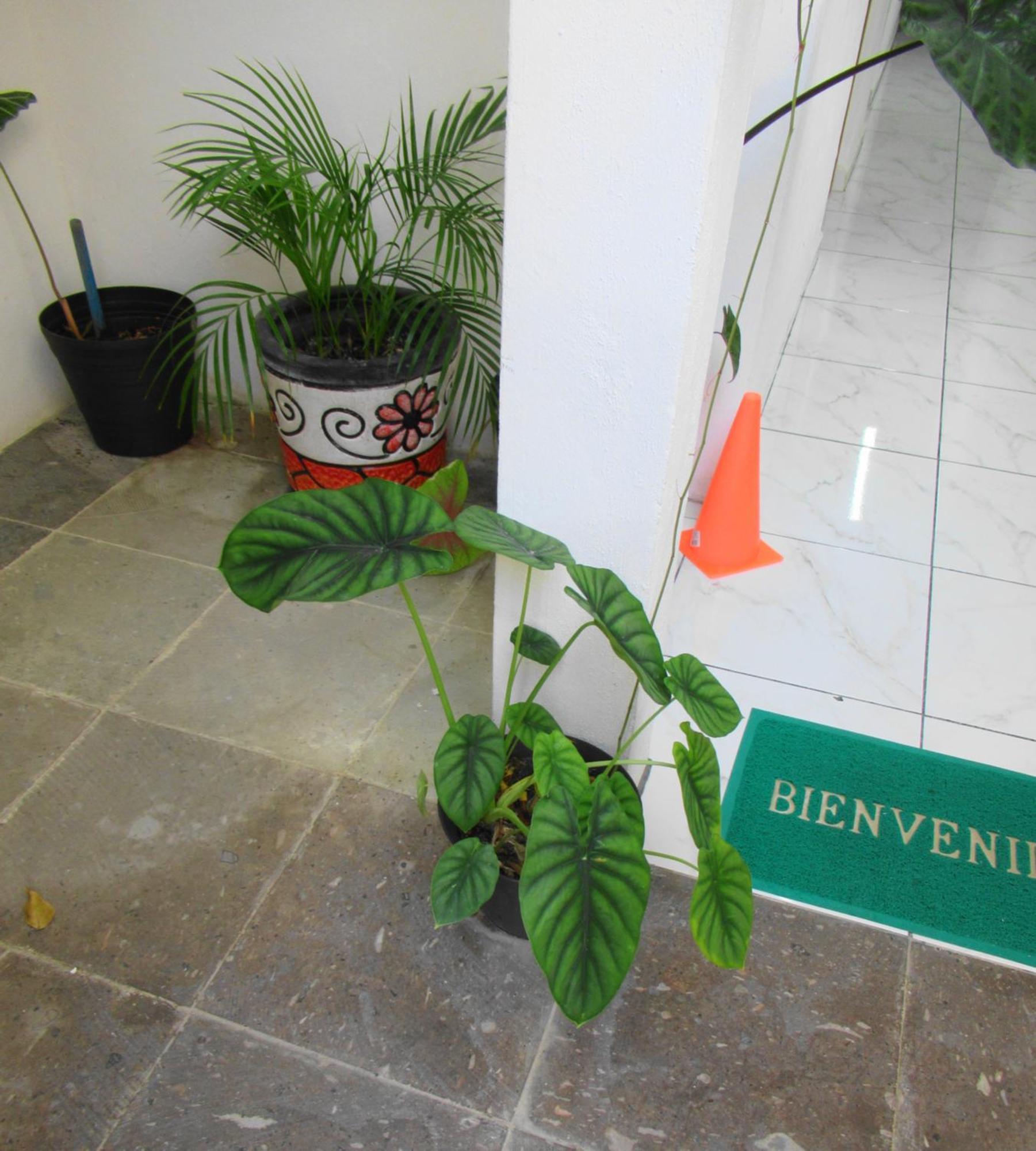 Apartament Cocos Cancún Zewnętrze zdjęcie